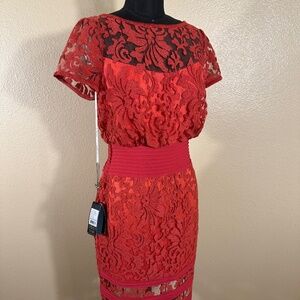 Tadashi Shoji Orange Lace Cocktail Dress